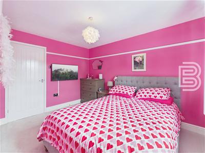 Picture 8